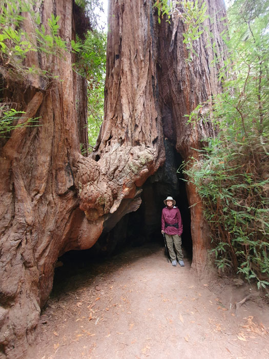 A person standing in a tunnel Description automatically generated