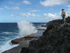 Big waves crashing on eastern shore